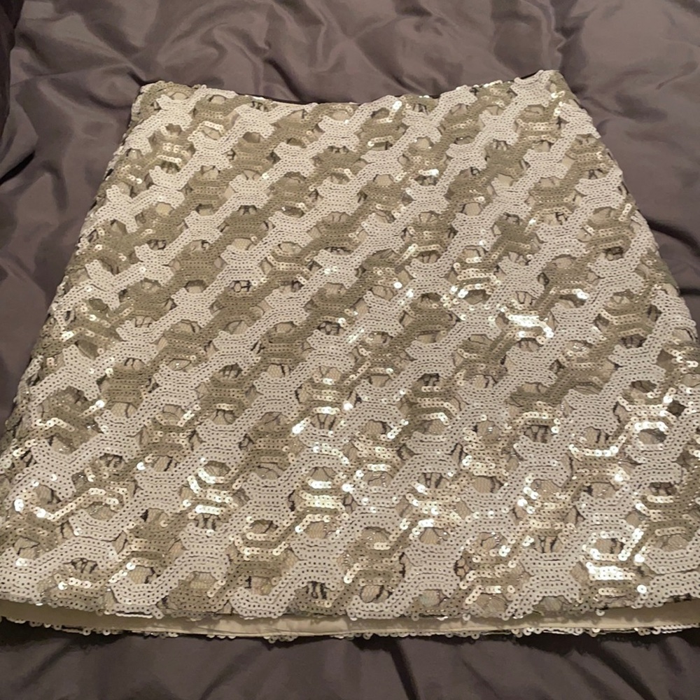 The Limited size 4 skirt